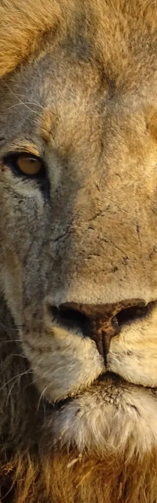 Botswana - Afrika mit allen Sinnen erleben